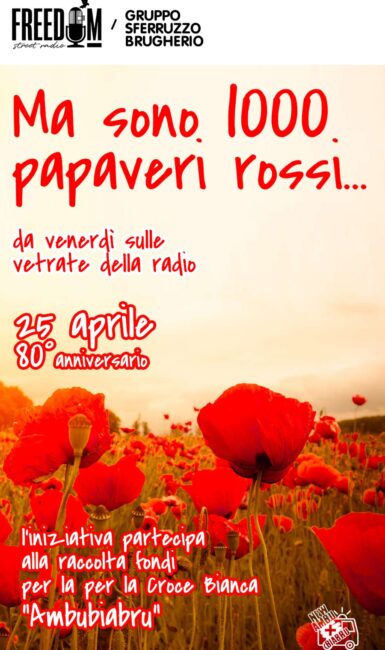 Mille Papaveri Rossi