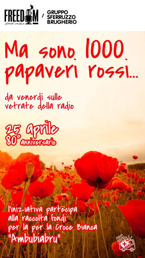 Mille Papaveri Rossi